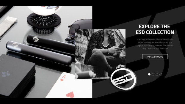 ESD x RAW Interactive web design prototype
