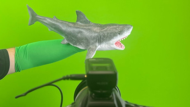 Behind the scenes of Shark Week with @gameaddictor299